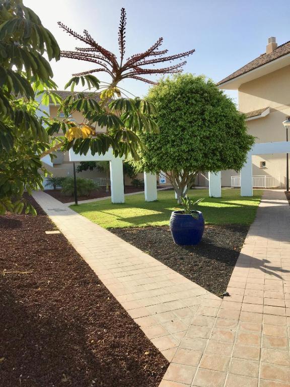 Deluxe Apt. 110Qm+Terrasse 60Qm Pool Wifi Golf Yachthafen San Miguel de Abona Eksteriør bilde